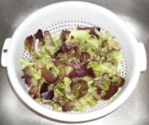 Brotsalat_2