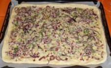 Zwiebelkuchen_11