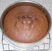 Schoko_Kokos_Torte_9