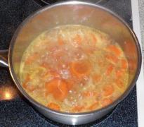 Karottensuppe_9