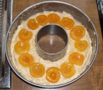 Aprikosenmarmorkuchen_6