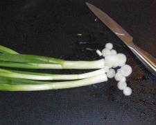 Buchweizenbratling_3