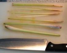 Zitronengrasspiesse_2