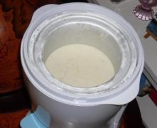 Frozen_Joghurt_7