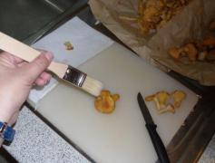 Pfifferling_Cappelletti_2