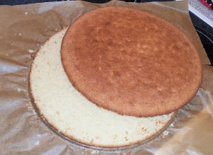 Tropen_Torte_12